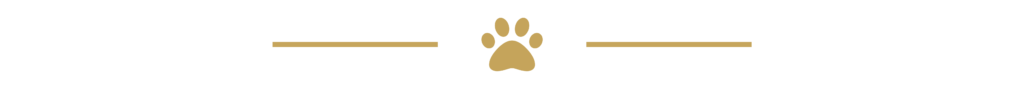 icon2 02